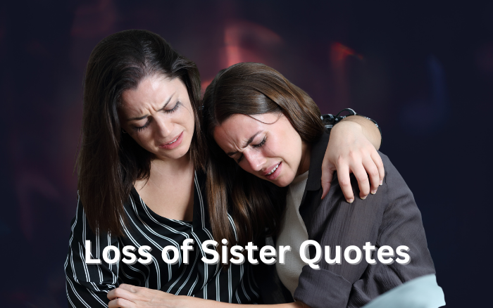 85 Loss of Sister Quotes  Sisterly Bonds Beyond Farewell