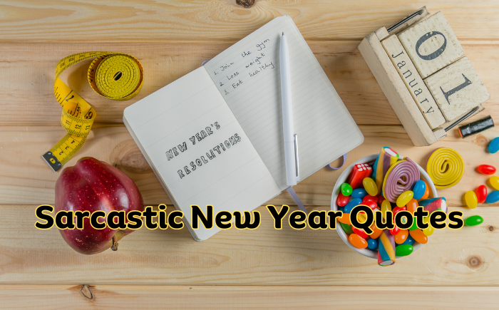 sarcastic new year quotes